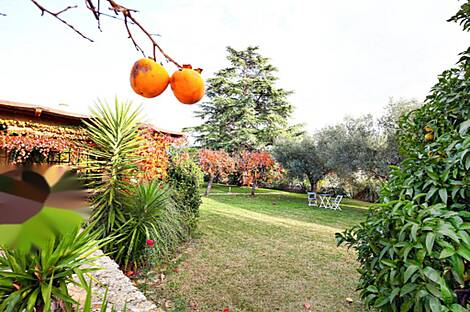 Жилище в Портороже: 1