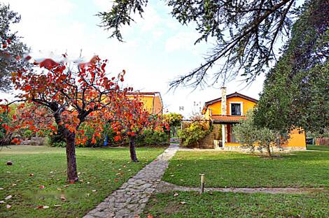 Жилище в Портороже: 3