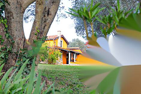 Жилище в Портороже: 4