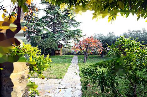 Жилище в Портороже: 14