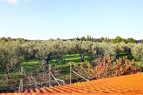 Жилище в Портороже: 17