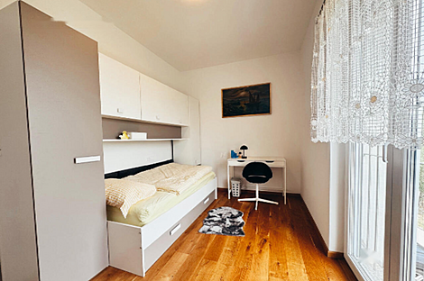 Дом Близнец в Ново Гриньян: 17