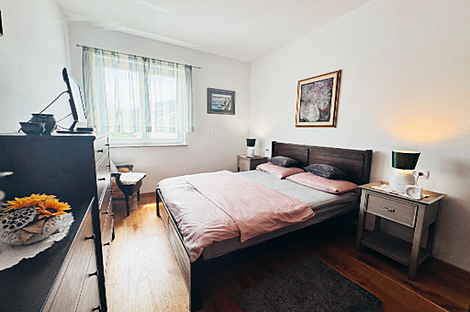 Дом Близнец в Ново Гриньян: 19