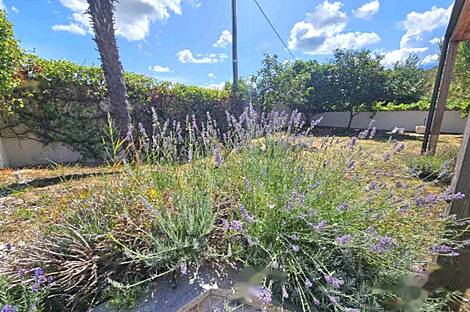 Жилище, Малья.: 8