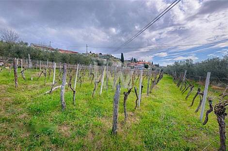 Парецаг, дом: 9