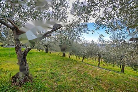 Парецаг, дом: 12