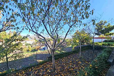 Жилище, Копер, Семедела.: 8