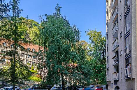 Трехкомнатная квартира, расположена в центре Любляны.: 15