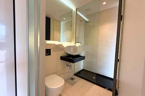 Апартаменты, более 5 комнат, находится в Центральном районе: 14