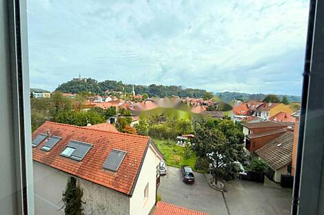 Апартаменты, более 5 комнат, находится в Центральном районе: 23