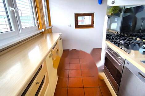 Многокомнатная квартира в центре, более 5 комнат: 4