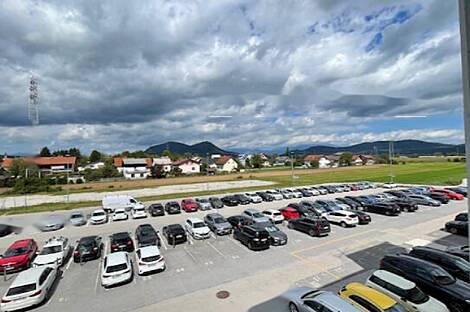 Шишка - торговое пространство: 7