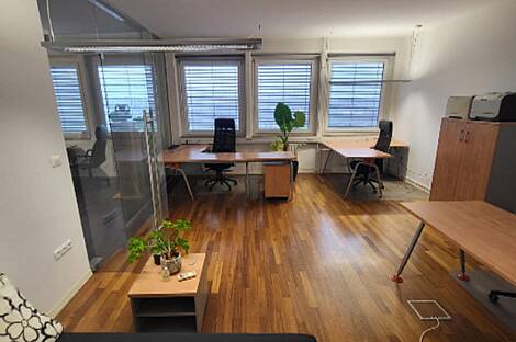 Шишка - торговое пространство: 13