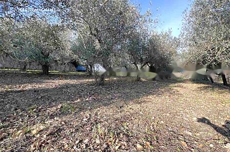 Бошамаринский дом с двумя этажами: 19