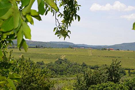 Дом, Беги: 19