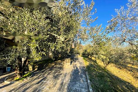 Дом, расположенный в Кркавче: 10