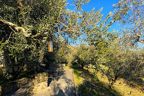 Дом, расположенный в Кркавче: 11