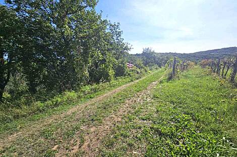 Дуплекс Ванганель, объект номер 2: 10