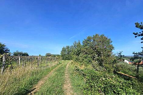 Дуплекс Ванганель, объект номер 2: 12