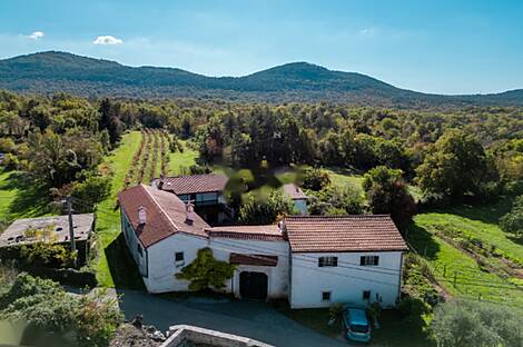 Дом, Комен: 22