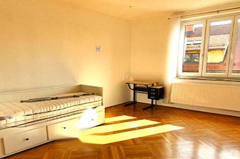 Квартира с четырьмя комнатами в центральной части Любляны.: 10