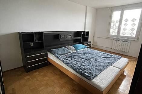 Трёхкомнатная квартира на Шишке: 3