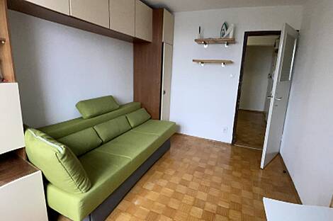 Трёхкомнатная квартира на Шишке: 12