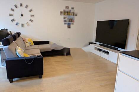 Трехкомнатная квартира в Любляне: 3