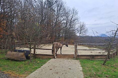 Дом Кметияново Пиршенбрег: 2