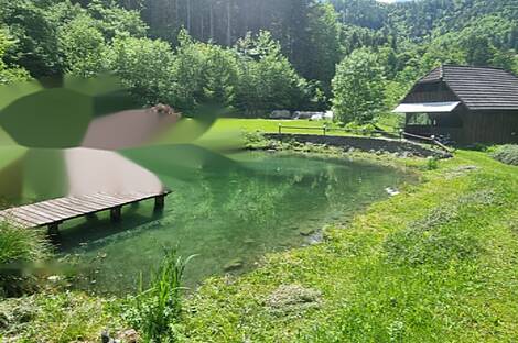 Дом Подкрай, расположенный в Межице, близ Межицы.: 1