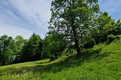 Дом Подкрай, расположенный в Межице, близ Межицы.: 14