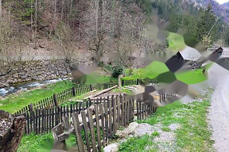 Усадьба, хозяйство Белые Воды: 5