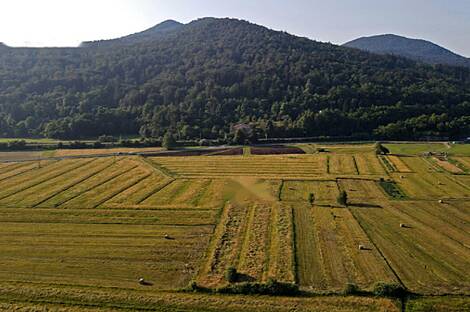 Бржезовица имение в Горицице: 2