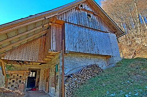 Усадьба, поместье Чолнишче.: 20