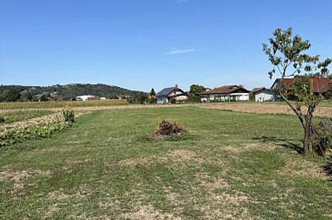 Квартира, Жиберци: 13