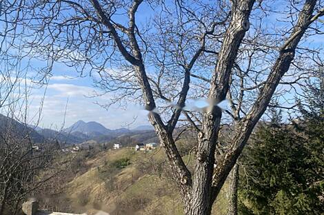 Здание Седлашек на улице Врх Грича: 3