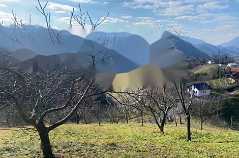 Здание Седлашек на улице Врх Грича: 11