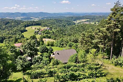 Особняк в Малом Чирнике около Штейньяна: 10