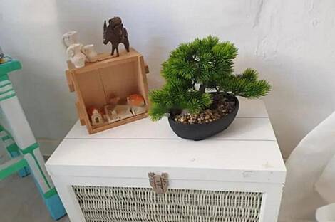 Новый Пиран: дом с террасой: 5