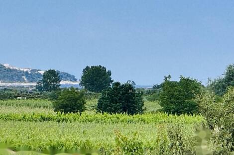 Драгонья, дом: 1