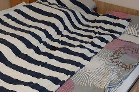 Четырёхкомнатная квартира в районе Поле: 22