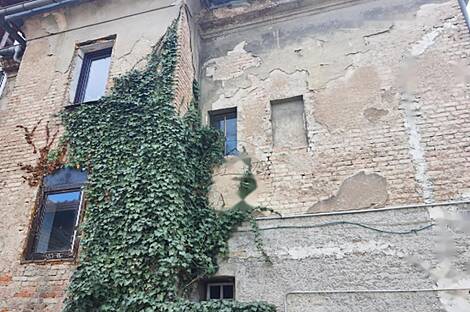 Жилище с двумя комнатами Шишка.: 2