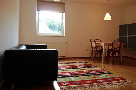 Двухкомнатная квартира полтора Шишка: 4