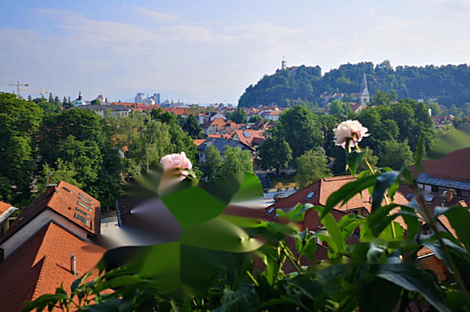 Квартира с двумя комнатами в Трново: 6