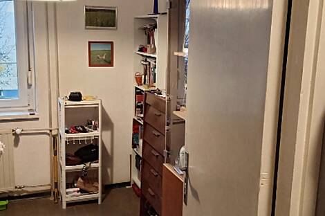 Квартира, однокомнатная Новые Ярше: 8