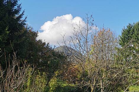 Жилище в Верхних Гамельне: 13