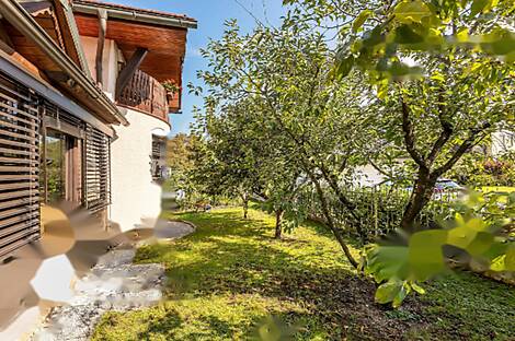 Коттедж на лугу: 25