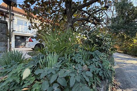 Дом с террасой в Пацуге: 8