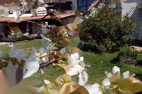 Жилище в Копере: 2