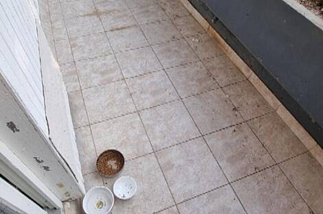 3,5-комнатная квартира в Кошезе: 2